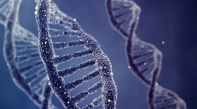 Estudio genético del Gigante Extremeño